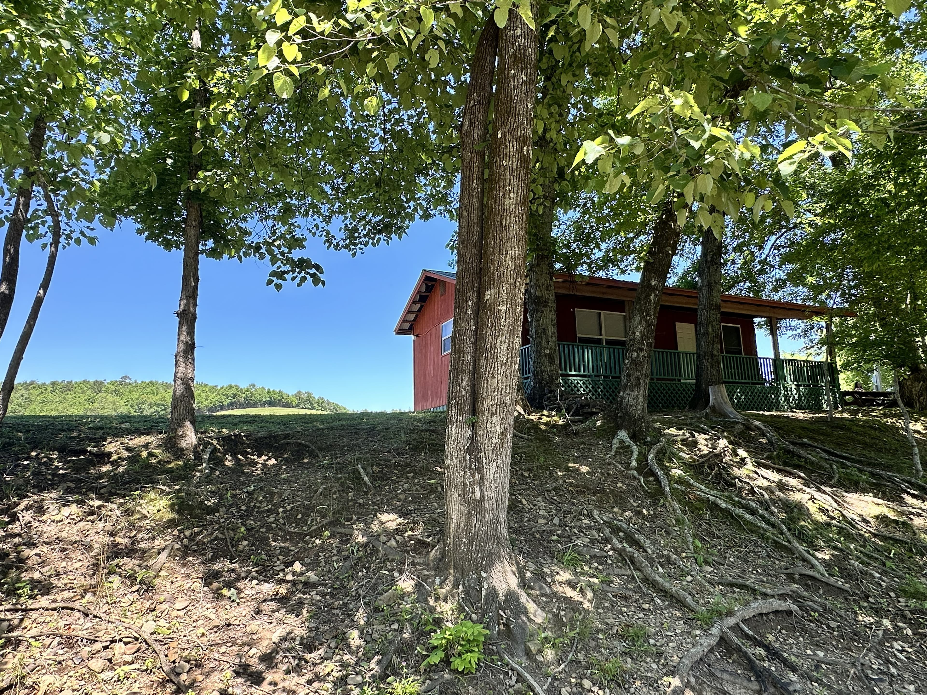 Peace Cabin Peace View
