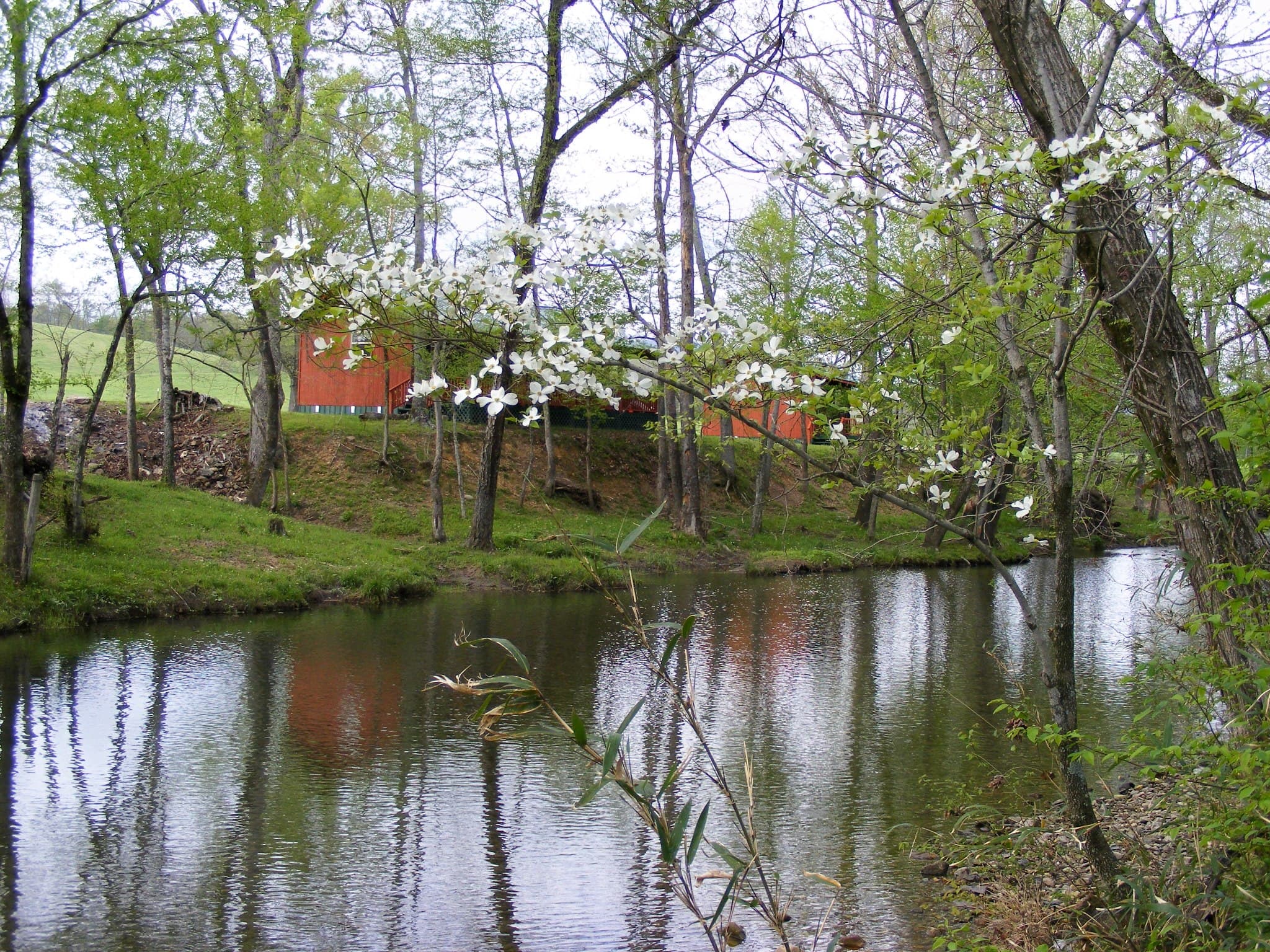 Bridge near At Living Water Cabins